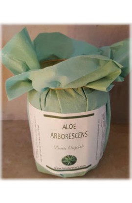 Aloe Arborescens Ricetta Originale