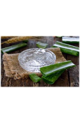 Aloe Arborescens Gel Puro