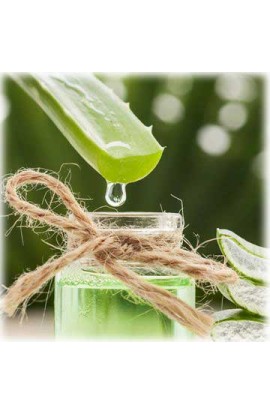 Aloe Arborescens Succo