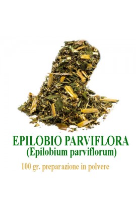 Epilobio Parviflora Tisana 100gr.